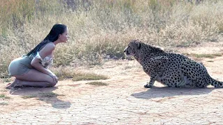 Animales Que Pidieron Ayuda a las Personas