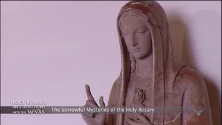 Holy Rosary and Devotions with the Franciscan Missionaries of the Eternal Word - 2020-12-01 - Holy R