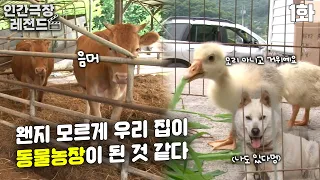 [인간극장 레전드 #98-1] 왠지 모르게 우리 집이 동물농장이 된 것 같다🐶🐮🦆 | 꽃보다 병수 (1/5) [KBS 150803 방송]