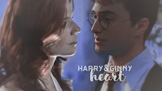 Harry Potter & Ginny Weasley [Hinny] | several sunlit days