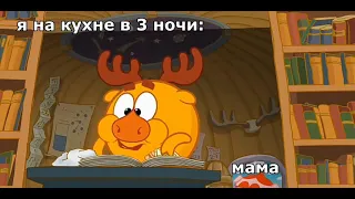 МУД СМЕШАРИКИ #20| КРОШБАРАШИДЗЕ