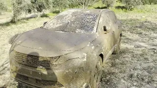 2 YEARS UNWASHED CAR ! Wash the Dirtiest Peugeot 3008 GT