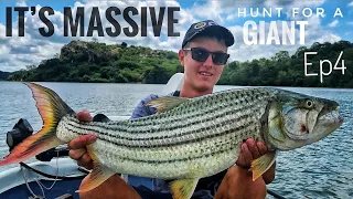 MASSIVE Tiger! Hunt for a Giant Tiger Fish episode 4