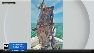 Fisherman catches 200- pound grouper on Miami Beach, donating it to Camillus House