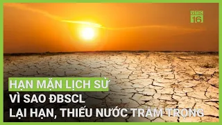 Hạn mặn nghiêm trọng nhất lịch sử ở ĐBSCL, nguyên nhân do đâu? | VTC16