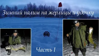 Зимний налим на жерлицы и удочку  / Winter burbot on imitation fish and fishing rod