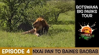 Botswana Big Parks Tour - (Nxai Pan to Baines Baobab Episode 4)