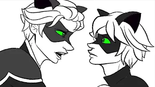 Ladynoir Meets their Future Selves || Miraculous Ladybug Animatic