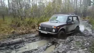 Гимн рыбаков ) прикол ржачь