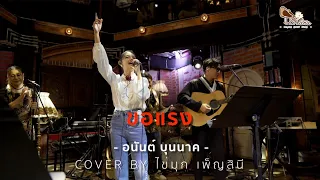 ขอแรง - อนันต์ บุนนาค ⎸ COVER BY ไข่มุก เพ็ญสินี