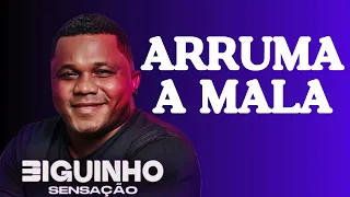 ARRUMA A MALA E VEM MORAR MAIS EU - BIGUINHO SENSAÇÃO 2024