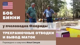 Трехрамочные отводки и вывод маток на пасеке Рея Летнера (Флорида, США)