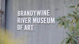 Visit the Brandywine River Museum of Art