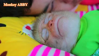 Wow!! Amazing Baby Monkey Big Big Face sleeping Well With Daddy