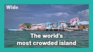 Life of a fisherman on a jam-packed island | WIDE