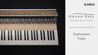 Kawai Grand Feel | Wooden-key Digital Piano Keyboard Actions - Explanation Video