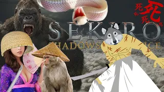 Sekiro - So This Is What Japan Is Like