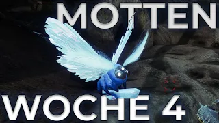 Alle MOTTEN der WOCHE 4 | Destiny 2