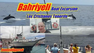 Tenerife 2022 Bahriyeli Boat Excursion Dolphins & Whales Amazing