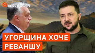 УГОРЩИНА ХОЧЕ РЕВАНШУ: вона буде намагатися забрати старі території / Загородній / Апостроф тв