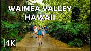 [4K] Waimea Valley in North Shore Oahu Hawaii - Walking Tour