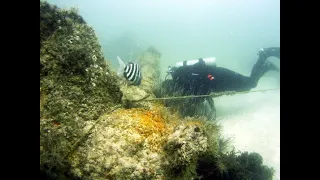 Investigating Civil War Shipwrecks of Tampa Bay