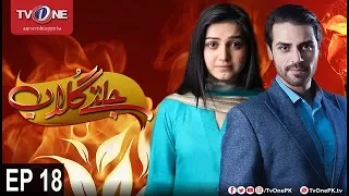 Jaltay Gulab | Episode 18 | TV One Classics | 27th November 2017