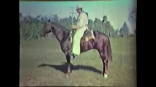 Peppy - Quarter Horse King Ranch