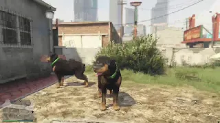 Gta online animals