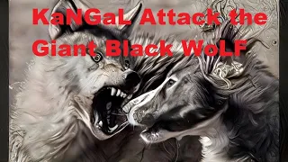 Kangal vs Wolf(Must watch!)3 Wolves Attack 1 Kangal . This End Up Badly For Wolves