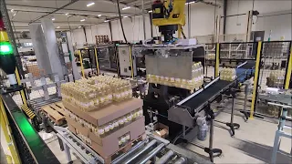 Robotic Palletizer for PET Bottles Filled with Oil