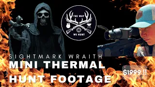 SightMark Wraith Mini Thermal Hog Hunt Footage