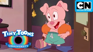 Hamton's Indecisiveness Therapy 🧠 | Tiny Toons Looniversity | Cartoon Network