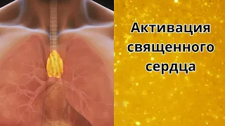 Медитация для активации тимуса Священного сердца