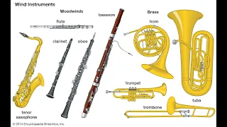 What are Brass and Woodwind Instruments??