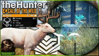 MY RAREST TROPHY!!! SUPER RARE Diamond ALBINO Whitetail Deer! Call of the wild