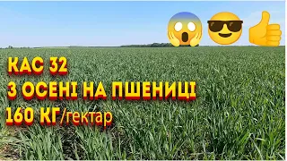 КАС 32 осіннє внесення на пшениці результат шокує 4K