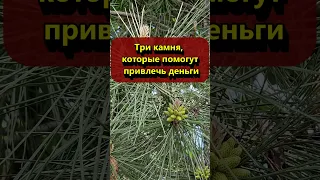 Три камня, которые помогут привлечь деньги