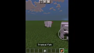 How to feed polar bear in minecraft