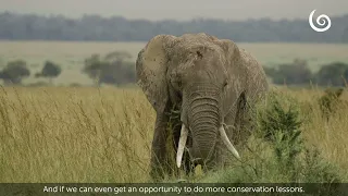 Echo  Environmental Education Lessons Kenya