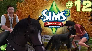 The Sims 3 Питомцы #12 Упс, проблема