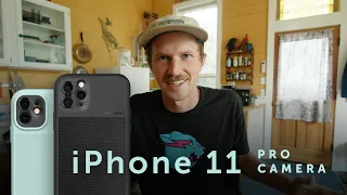 iPhone 11 and 11 Pro Camera Details. What You Should Know Before Buying