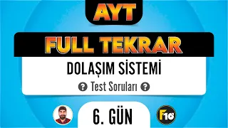 Dolaşım Sistemi Test Soruları AYT Full Tekrar Biyoloji F10 Serisi