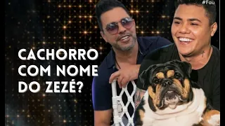 Cachorro de Felipe Araújo se chama Mirosmar, em homenagem a Zezé | FAUSTÃO NA BAND