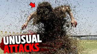 The Most BIZARRE Animal Attacks on Humans MARATHON!