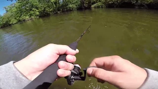 Creek fishing in the little pigeon river sevierville Tennessee