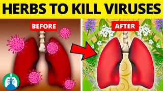 Top 10 Herbs for Lung Health, Clearing Mucus, COPD, and Killing Viruses