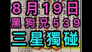 8/19黑狗兄539 三星獨碰(記得訂閱黑狗兄🐺）