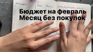 бюджет на февраль | месяц без покупок