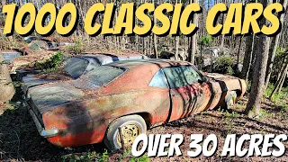 Exploring A Classic Car Junk Yard - 1000 Classics